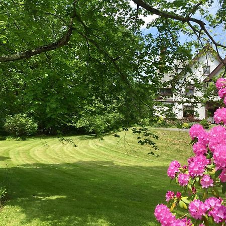 Manor House Bed & Breakfast Norfolk Exteriör bild
